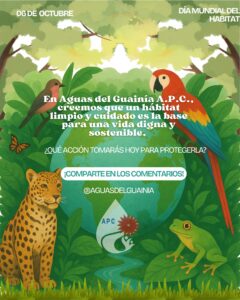 noticia 1 dia mundial del habitat