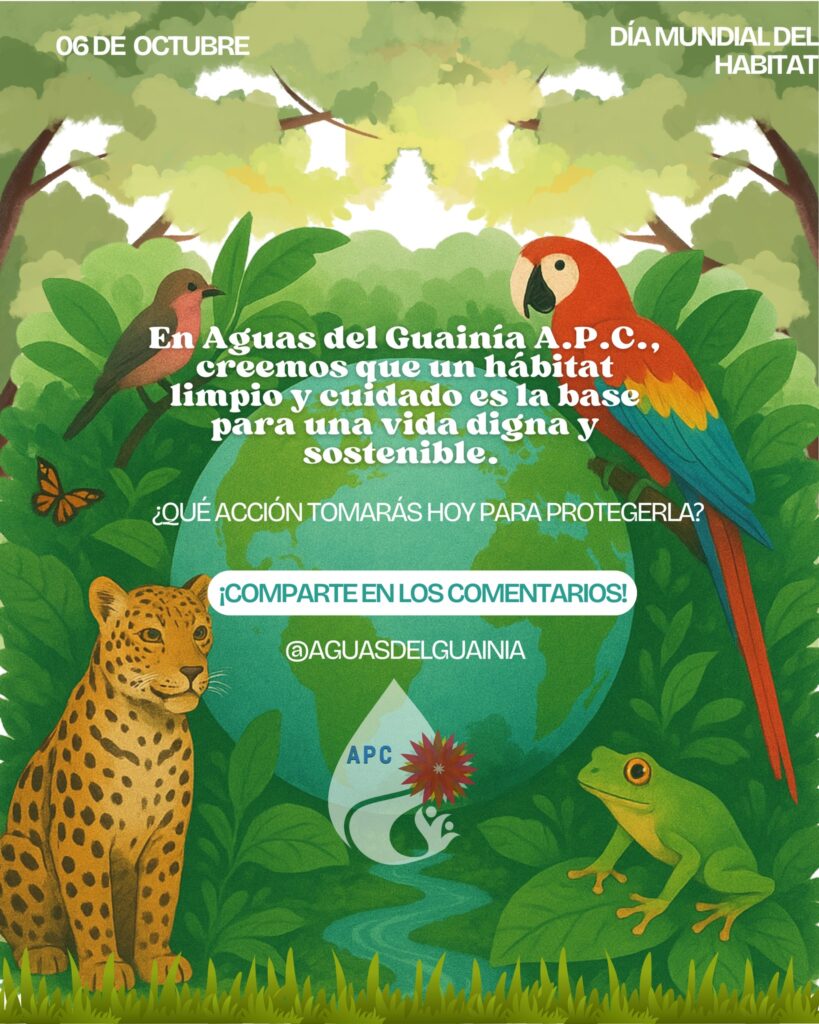 noticia 1 dia mundial del habitat