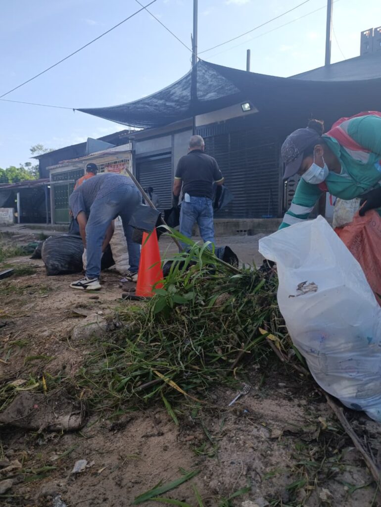 whatsapp image 2026 01 26 at 11.09.16 am